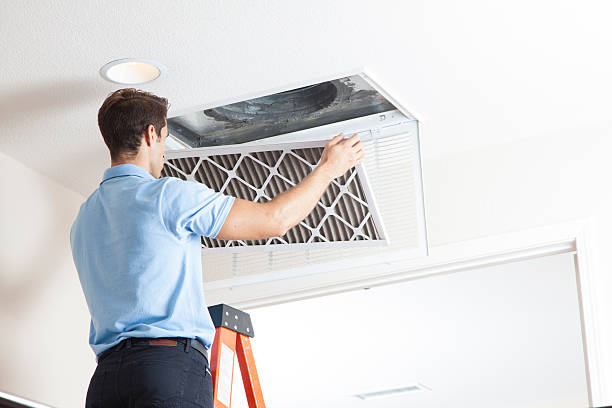 Best HVAC Tune-Up Services  in Tipton, IN